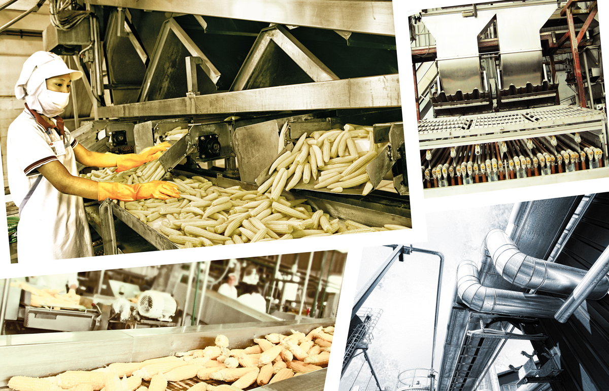 Photoshop Design by UrbainFX for Grand Asia Food Industry Co. Ltd 5/127 Soi Udomsab, Baromrajchonnanee Rd., | Design #6102538