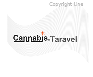 Logo Design by leebswz