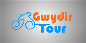Logo Design by DIZ.craft for this project | Design #6111161
