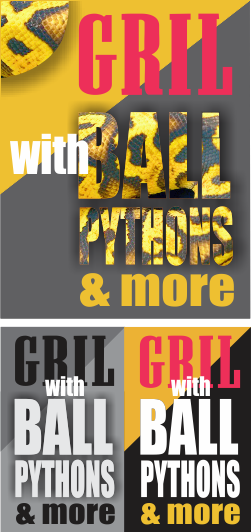 Logo Design by NU BE MOL