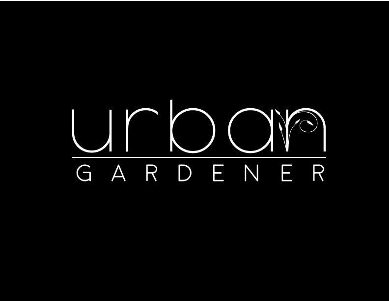 Logo Design by Sonam Aggarwal for mannyfox.ch | Design #6418516