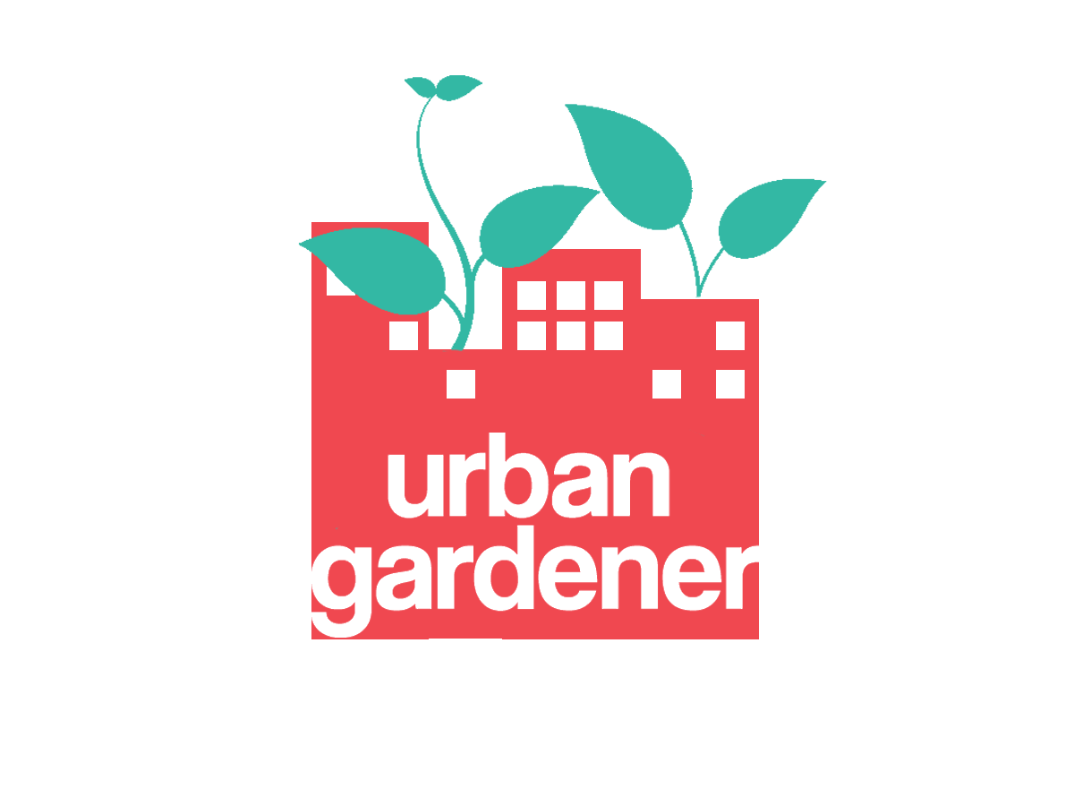 Logo Design by Joshua Ede for mannyfox.ch | Design #6364521