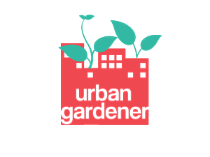Logo-Design von Joshua Ede für mannyfox.ch | Design: #6364521