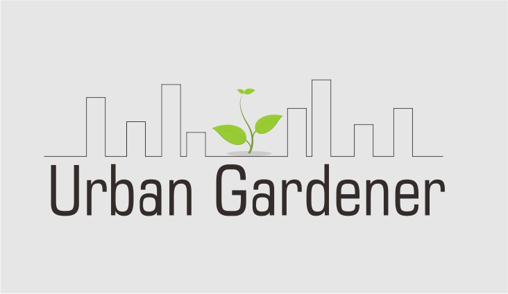 Logo-Design von gendroari für mannyfox.ch | Design #6414011