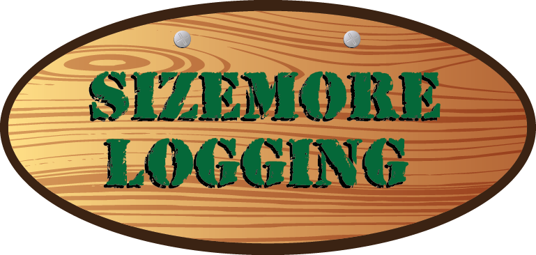 Diseño de Logo por anthony.ramos para este proyecto | Diseño #6141255