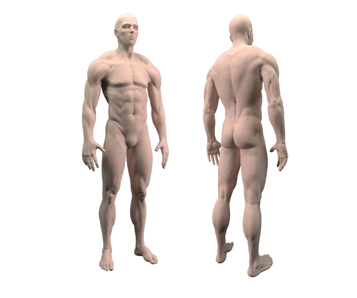 3D Design by clenci for Mobito | Design #1643356