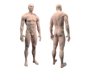 3D Design by clenci for Mobito | Design: #1643356