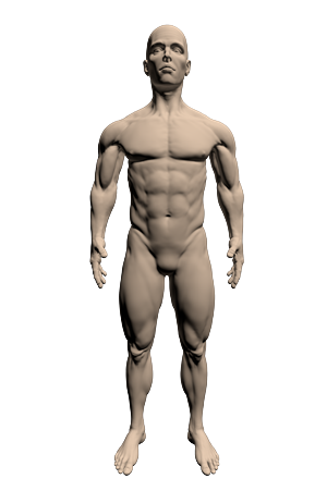 3D Design by MacMotion
