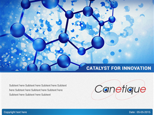 PowerPoint Design by Best Design Hub for this project | Design: #6125096