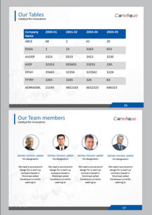 PowerPoint Design by rkailas for this project | Design: #7078804