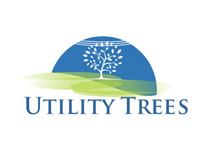 Logo Design by LOGO DESIGNER for this project | Design: #6370914