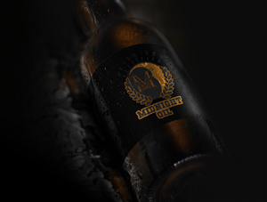 Logo Design by dii for this project | Design: #6168048