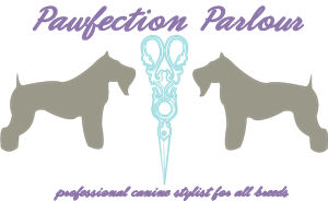 Logo Design by Kaylynn Dewane