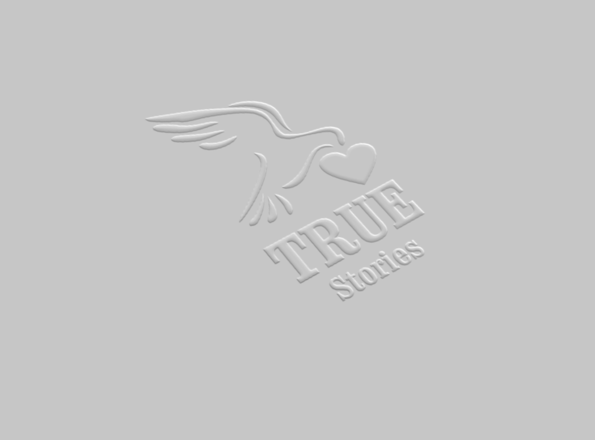 Logo Design by Logogofamily for True Stories Corporation | Design #6133166