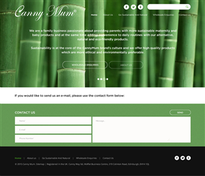 Web Design by A.D.S for Canny Way ltd | Design: #6193959