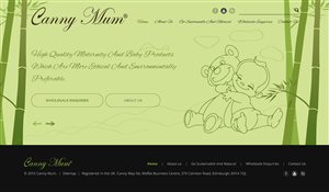 Web Design by A.D.S for Canny Way ltd | Design: #6193961