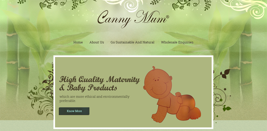 Web Design by Expert Designer for Canny Way ltd | Design #6189882