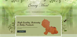 Web Design by Expert Designer for Canny Way ltd | Design: #6189882
