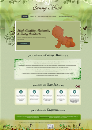Web Design by Expert Designer for Canny Way ltd | Design #6192542