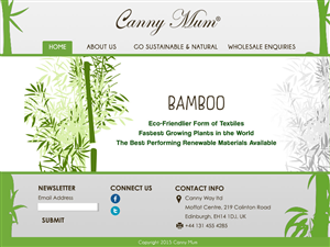 Web Design by ordelya.nicole for Canny Way ltd | Design #6189602