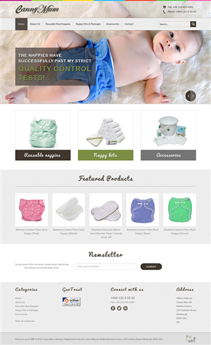 Web Design by Blessy Software Solution