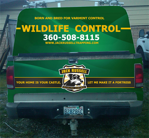 Signage Design by James Sylvester for Jack Russell Wildlife Control | Design #1665730