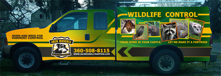 Signage Design by James Sylvester for Jack Russell Wildlife Control | Design #1665731