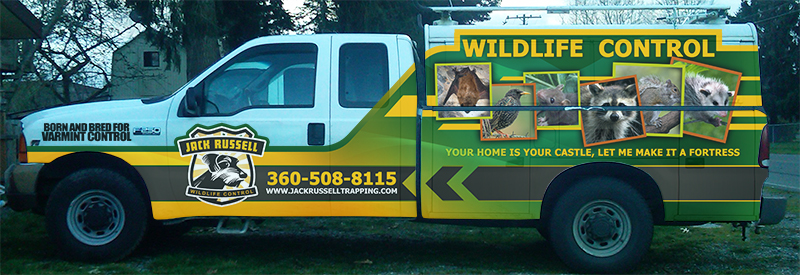 Diseño de Señalética por James Sylvester para Jack Russell Wildlife Control | Diseño #1685335