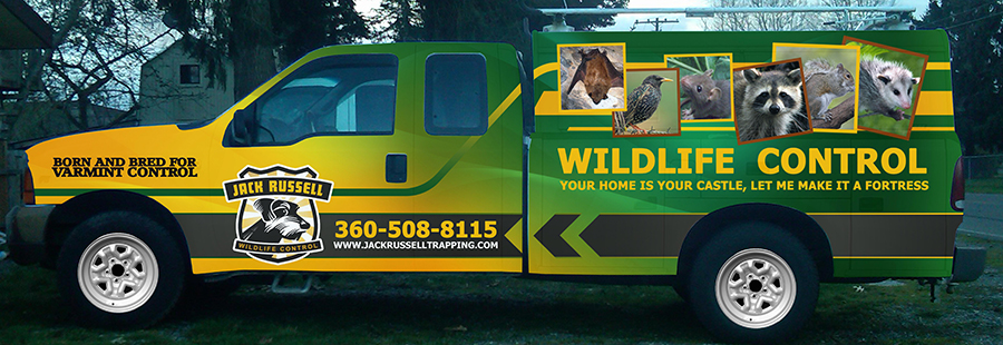 Signage Design by James Sylvester for Jack Russell Wildlife Control | Design #1695305
