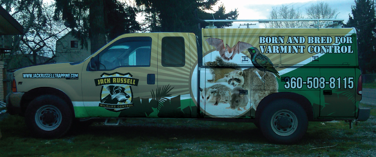 Diseño de Señalética por Priyo Subarkah para Jack Russell Wildlife Control | Diseño #1652608