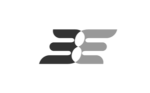 Logo Design by ergo™