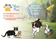 Flyer Design by Designer choice for this project | Design: #6190156