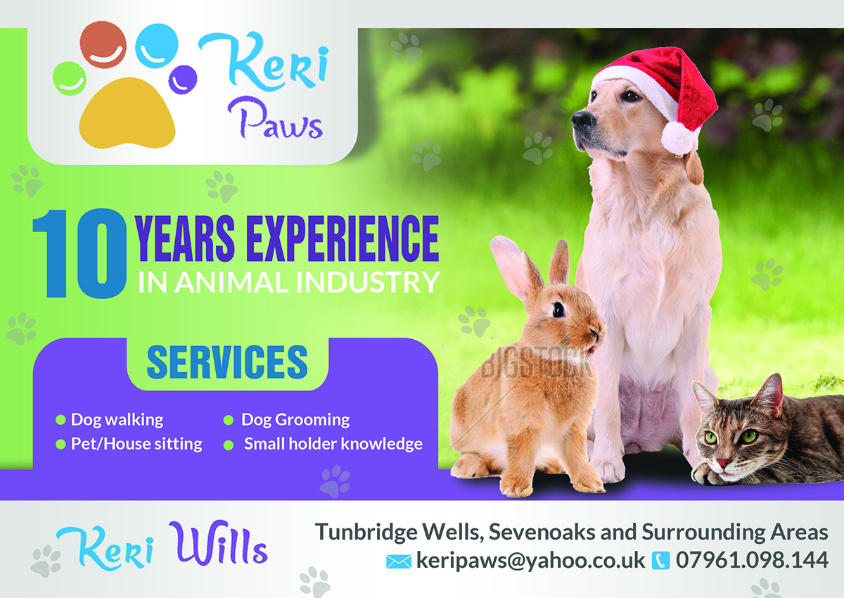 Flyer Design by ESolz Technologies for this project | Design #6163245