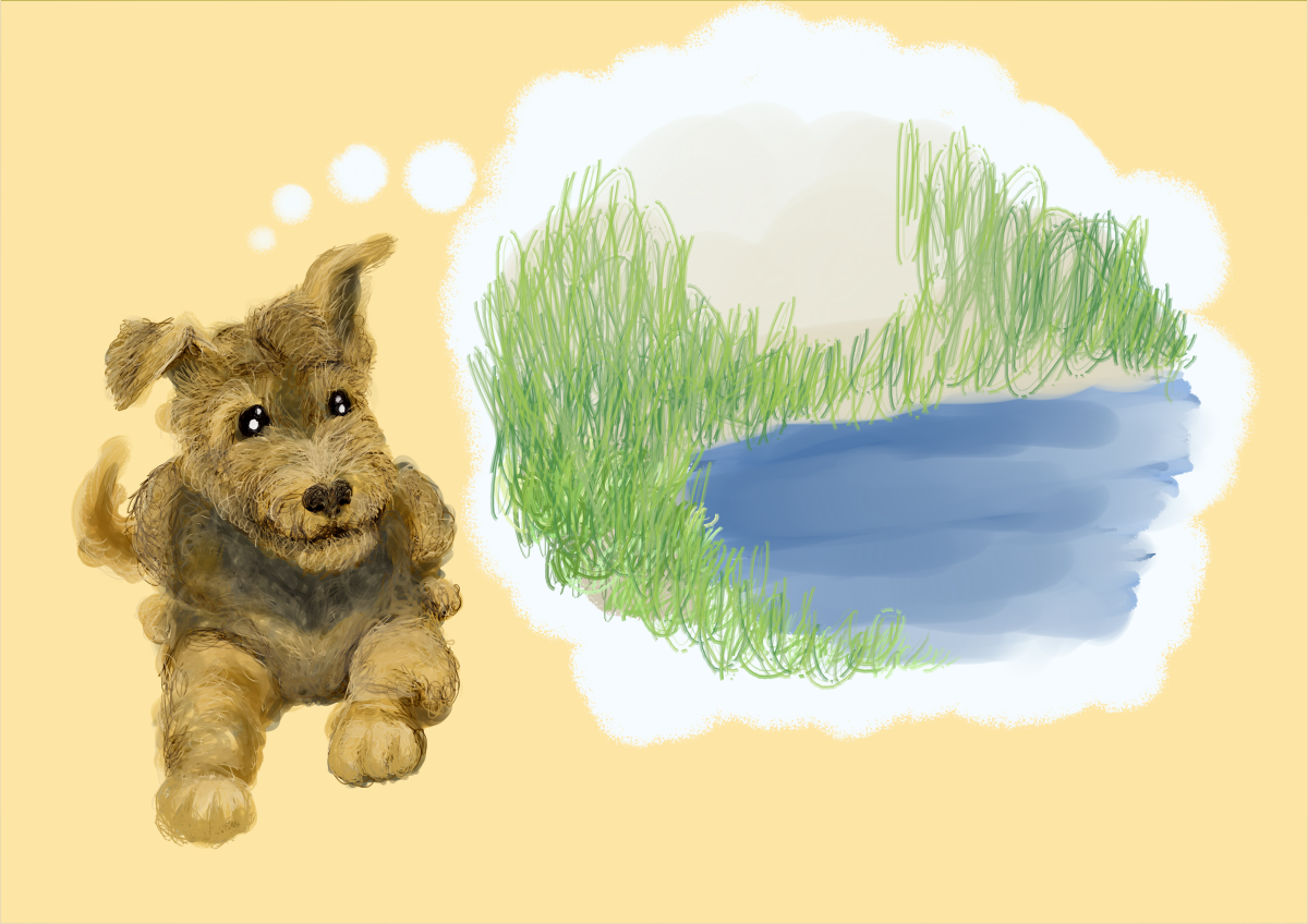 Illustration Design by Cooperama for this project | Design #6281300