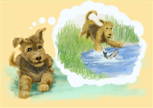 Illustration Design by Cooperama