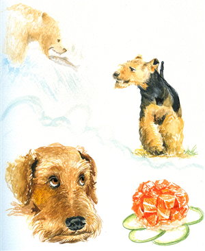 Illustration Design by Daniel318 for this project | Design #6282999