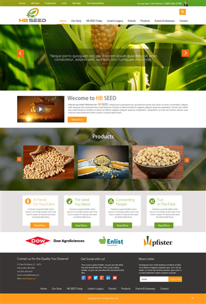 Diseño Web por pb para este proyecto | Diseño: #6175097