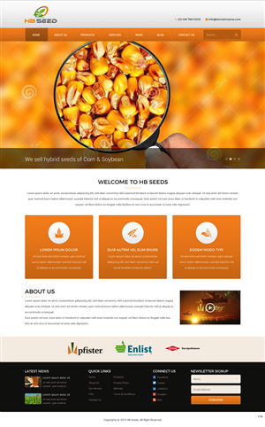 Diseño Web por pb para este proyecto | Diseño: #6175098
