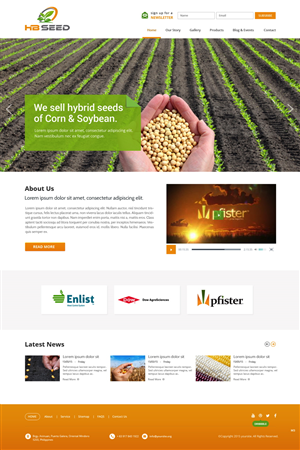 Diseño Web por pb para este proyecto | Diseño: #6175099