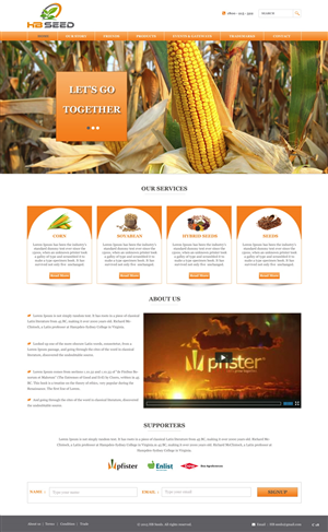 Diseño Web por pb para este proyecto | Diseño: #6175101