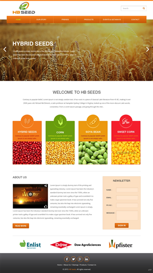 Diseño Web por pb para este proyecto | Diseño: #6175114