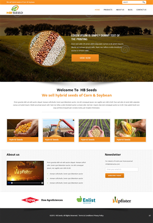 Diseño Web por pb para este proyecto | Diseño: #6175118