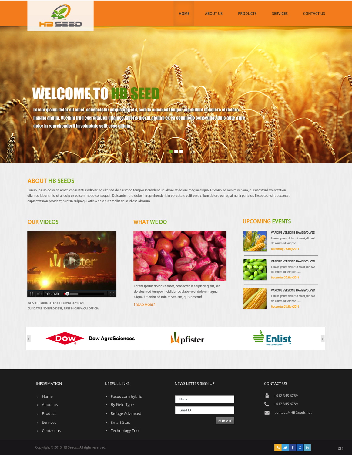 Diseño Web por pb para este proyecto | Diseño #6175121