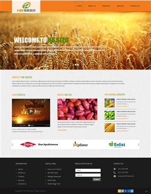 Diseño Web por pb para este proyecto | Diseño: #6175121