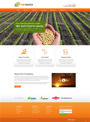 Diseño Web por pb para este proyecto | Diseño: #6175126