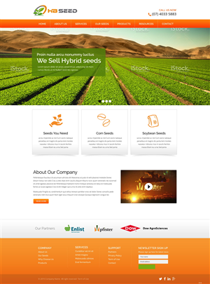 Diseño Web por pb para este proyecto | Diseño: #6175129