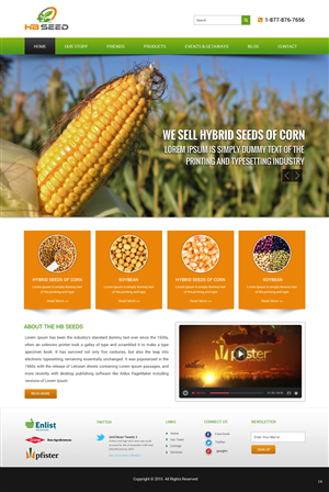 Diseño Web por pb para este proyecto | Diseño: #6175133