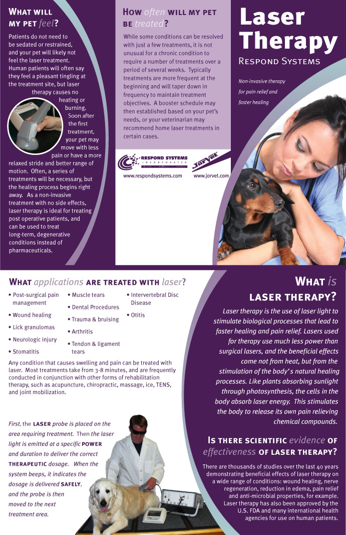 Web Design by Angel Branding for this project | Design #332742