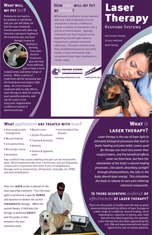 Web Design by Angel Branding