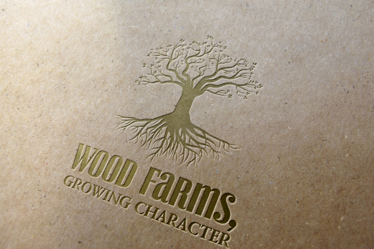 Logo Design by Logogofamily for this project | Design #6170291